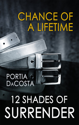 Title details for Chance of a Lifetime by Portia Da Costa - Wait list